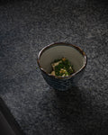 Hiyayakko Chilled Tofu with Japanese Herb